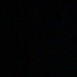 Meet your Posher, Hector